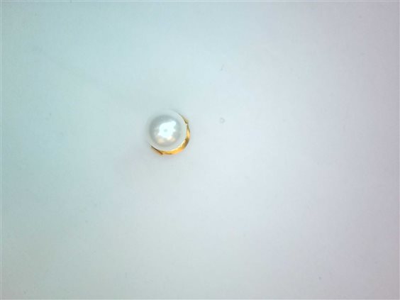 Boucle d'oreilles unique Studex in Acier Perla 7521-0675 - 7521-0675